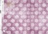 Decoupage Papierzeichen des Tierkreises*декупаж бумажные знаки зодиака*signos de papel decoupage del zodíaco